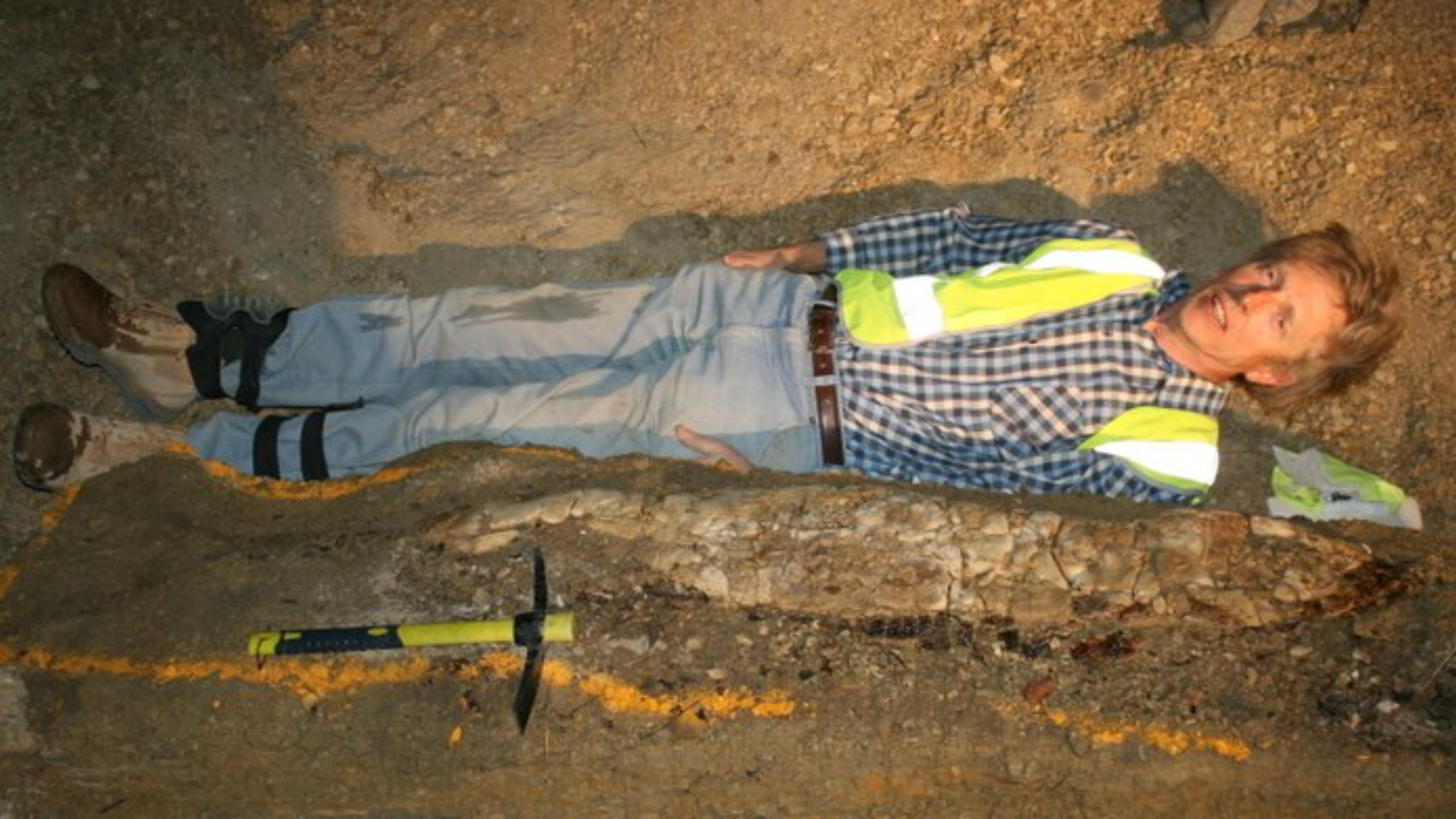 Paleontologists seek to rehome Australia's largest intact fish fossil ...