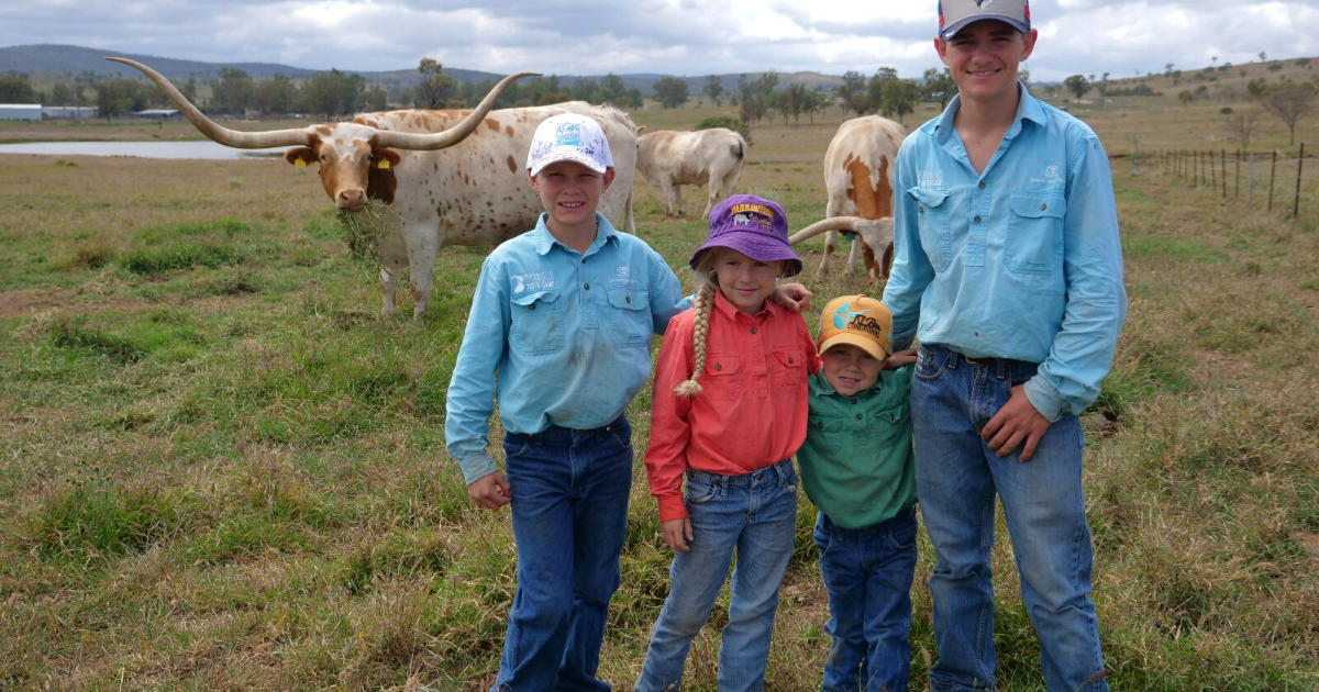 Abc Handler Meet the 4-year-old cattle handler who knows his way around a pair of ...
