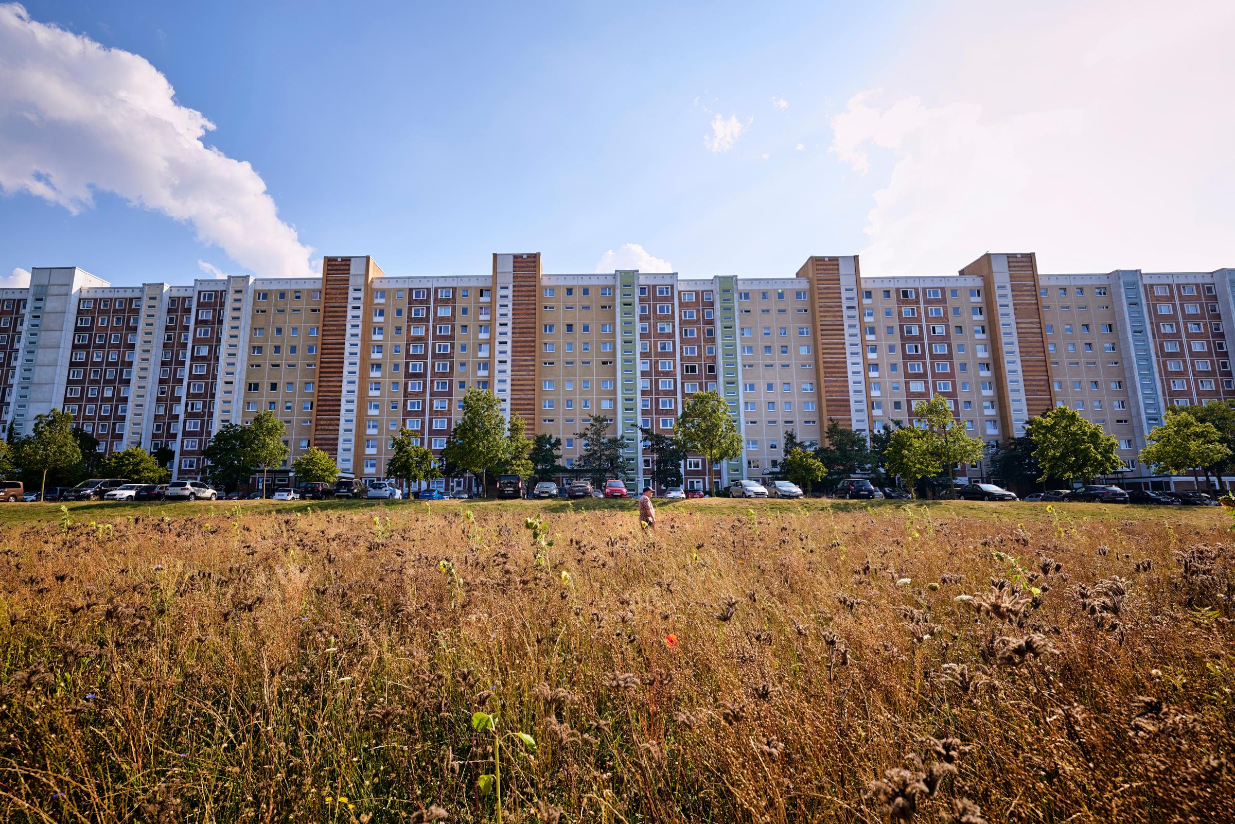 RostockLichtenhagen 30 Jahre nach den Ausschreitungen DER SPIEGEL