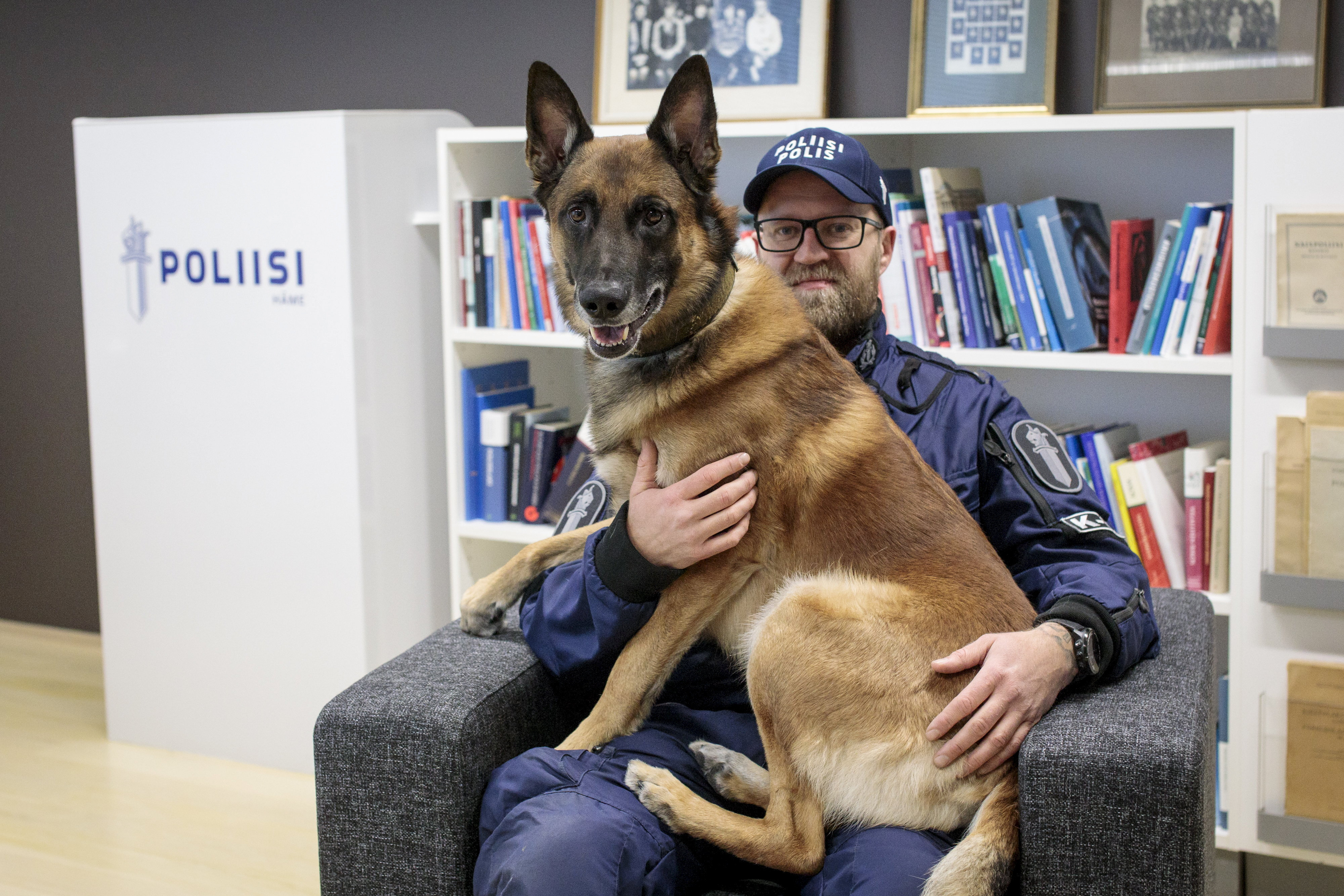 glasses,dog,canine,pet,mammal,animal,furniture,hat,german shepherd,publication