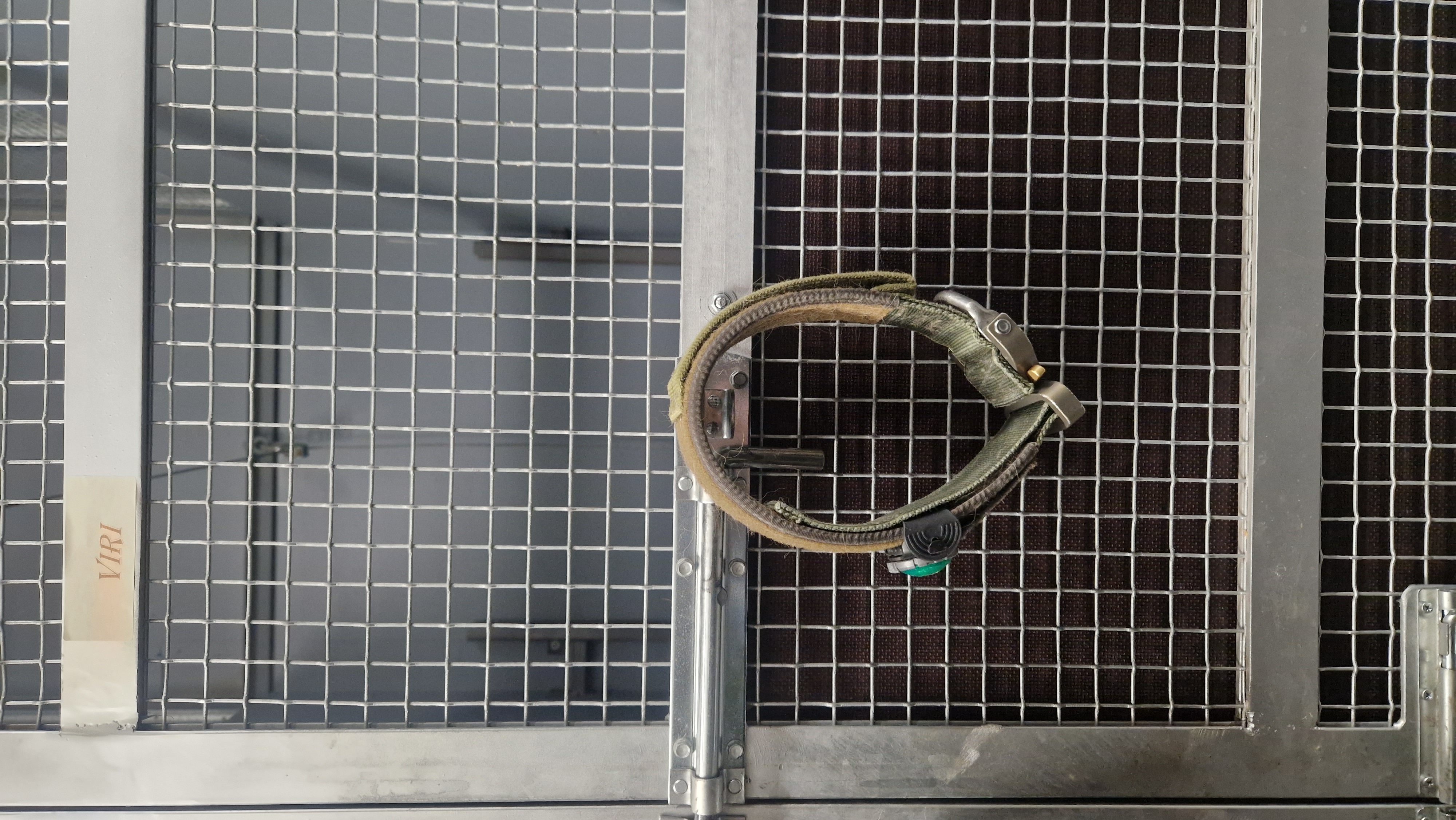 tennis racket,tennis,sport,racket,wheel,machine,horseshoe,grille