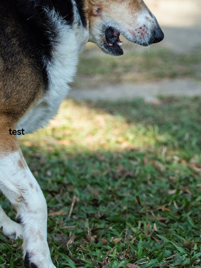 test