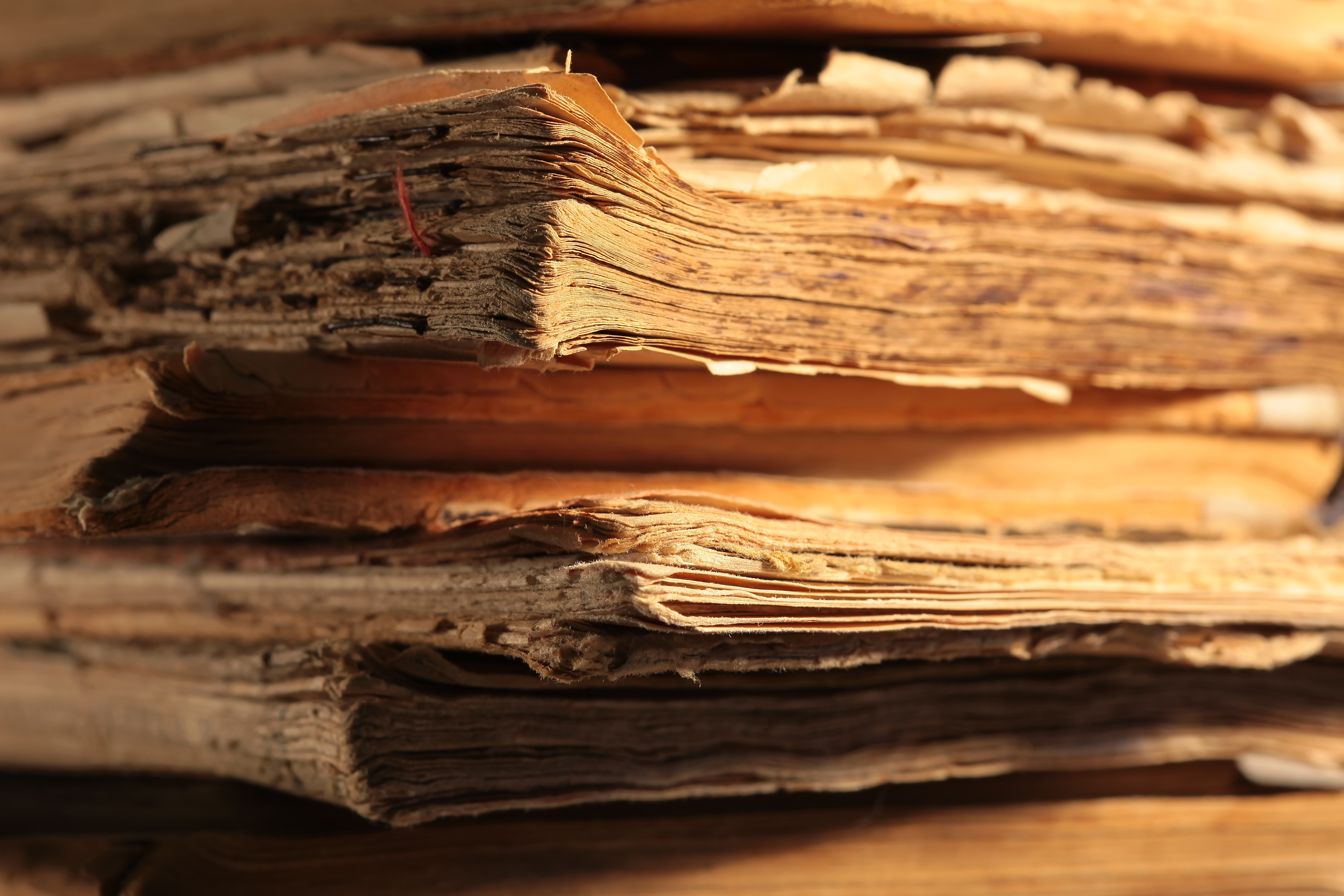 text,book,page