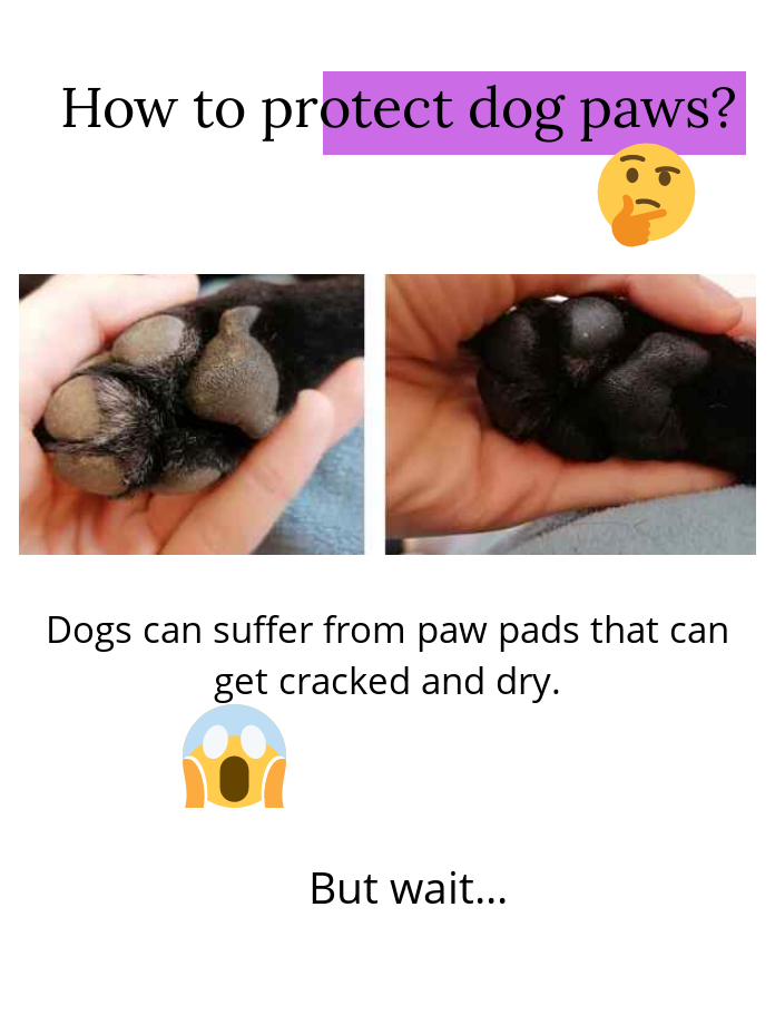 Natural dog paw balm