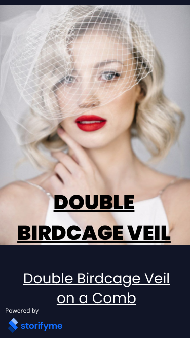 Double Birdcage Veil on a Comb